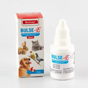 BULSE-E