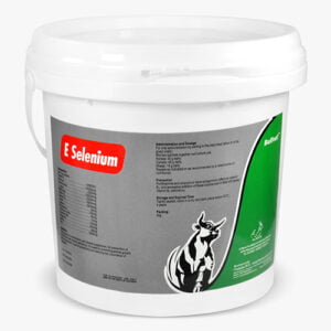 E Selenium – أي سيلينيوم