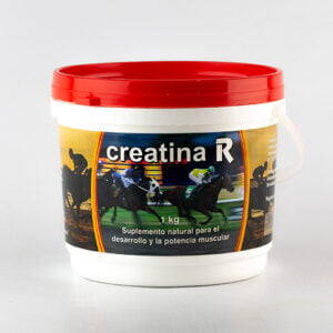 CREATINA R
