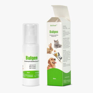 Bulgen