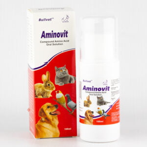 Aminovvit