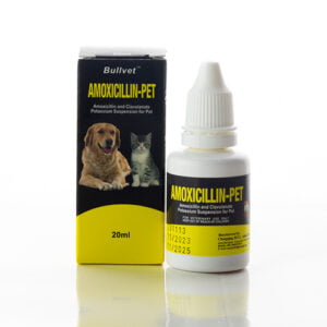 AMOXICILLIN-Pet