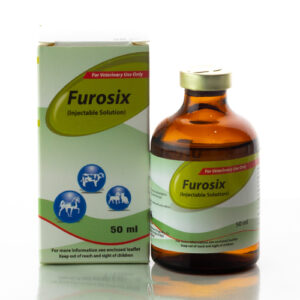 Furosix