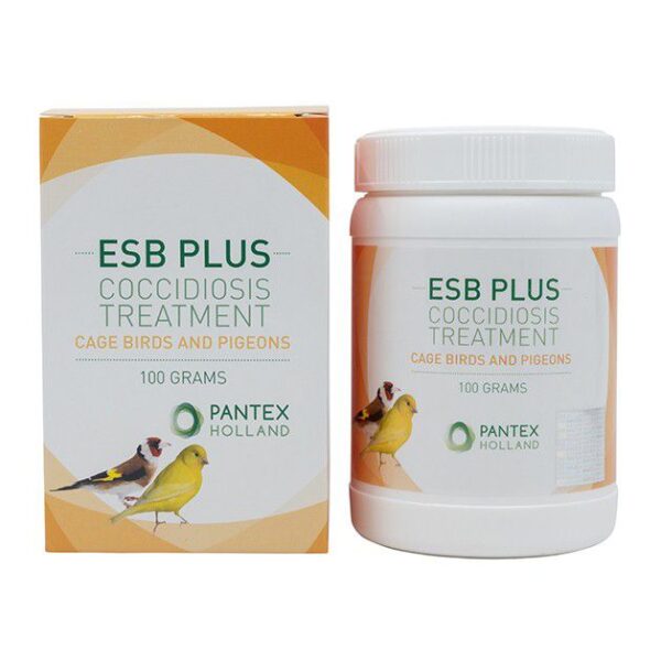 ESB PLUS