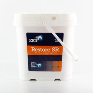 Restore SR