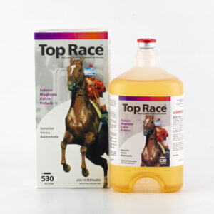 Top Race
