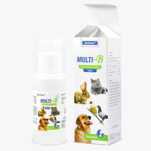 MULTI-B