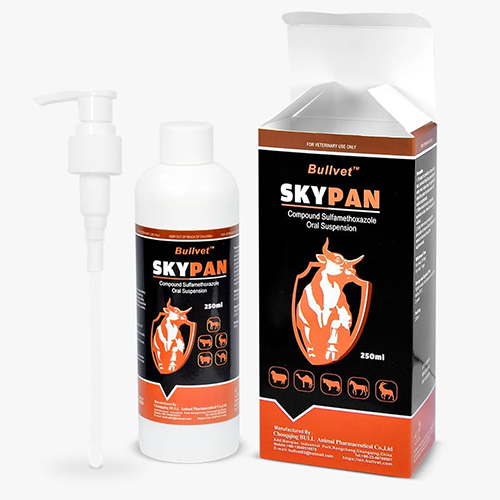 Skypan