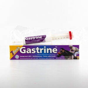 Gastrine