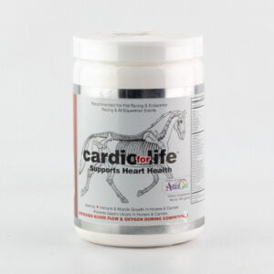 cardio for life