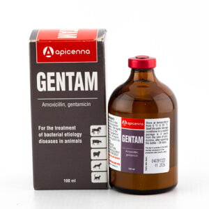 GENTAM