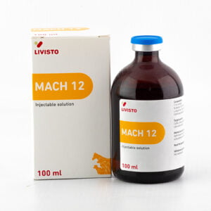 Mach 12