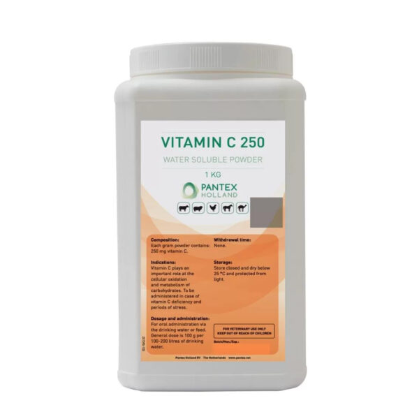 VITAMIN C 250