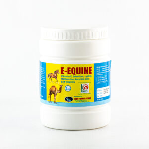 E-EQUINE