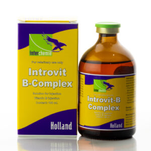 Introvit B-Complex