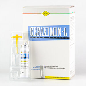 Cefaximin-L