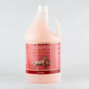 SHAMPOO