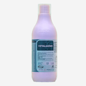 VITALMINO