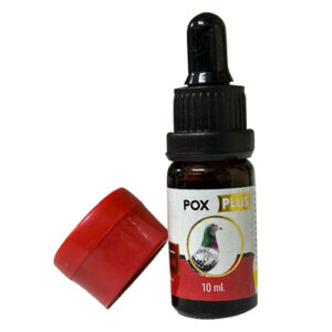 POX Plus