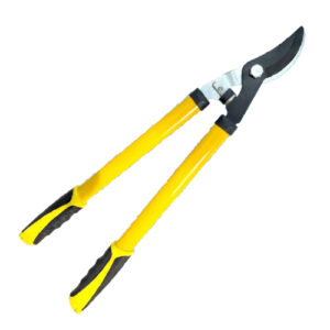 مقص أظلاف أغنام