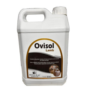 Ovisol Lamb